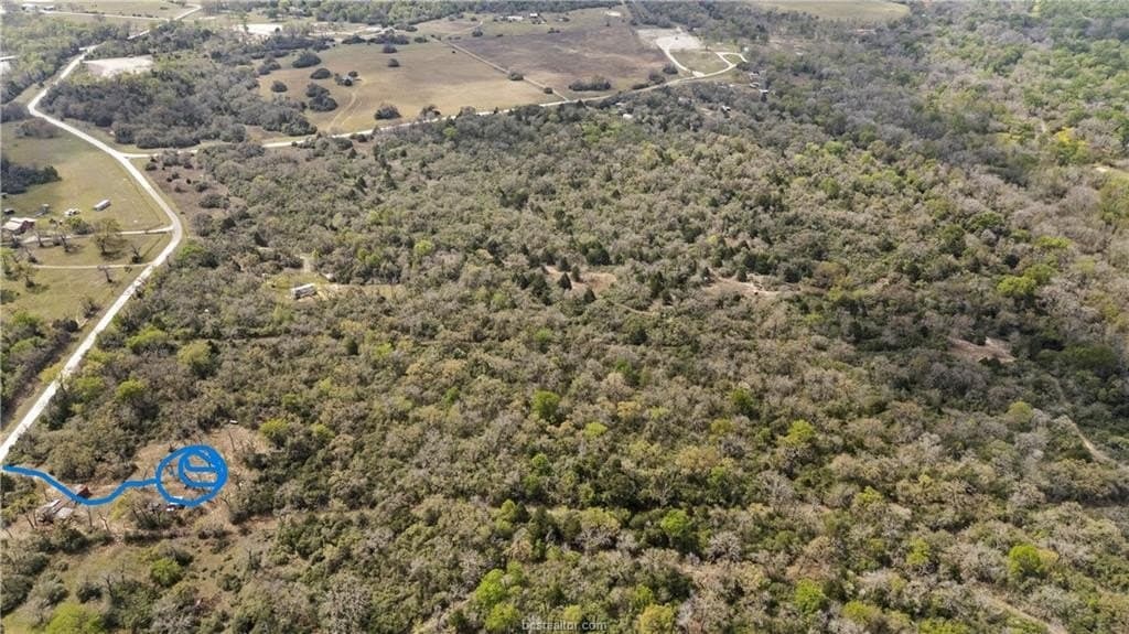 20 acres in Leon County featured view