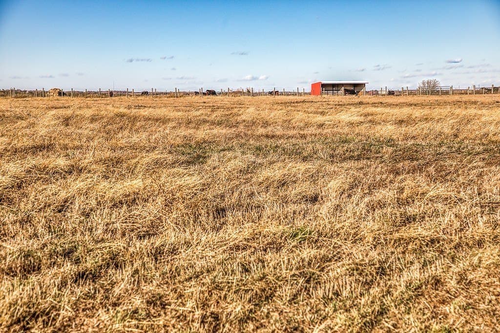 4 acres in Washington County - photo 28