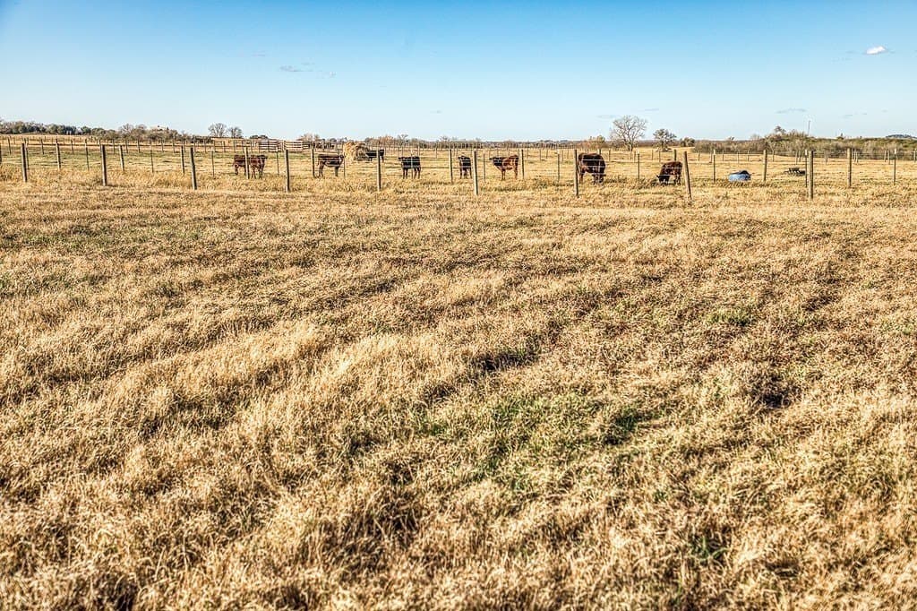 4 acres in Washington County - photo 25