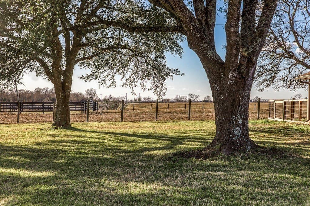 4 acres in Washington County - photo 5