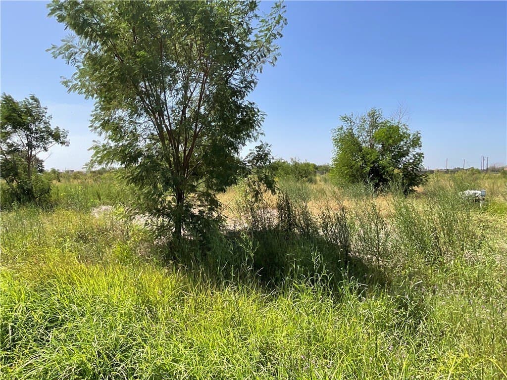 1.66 acres in Jim Wells County gallery image 2
