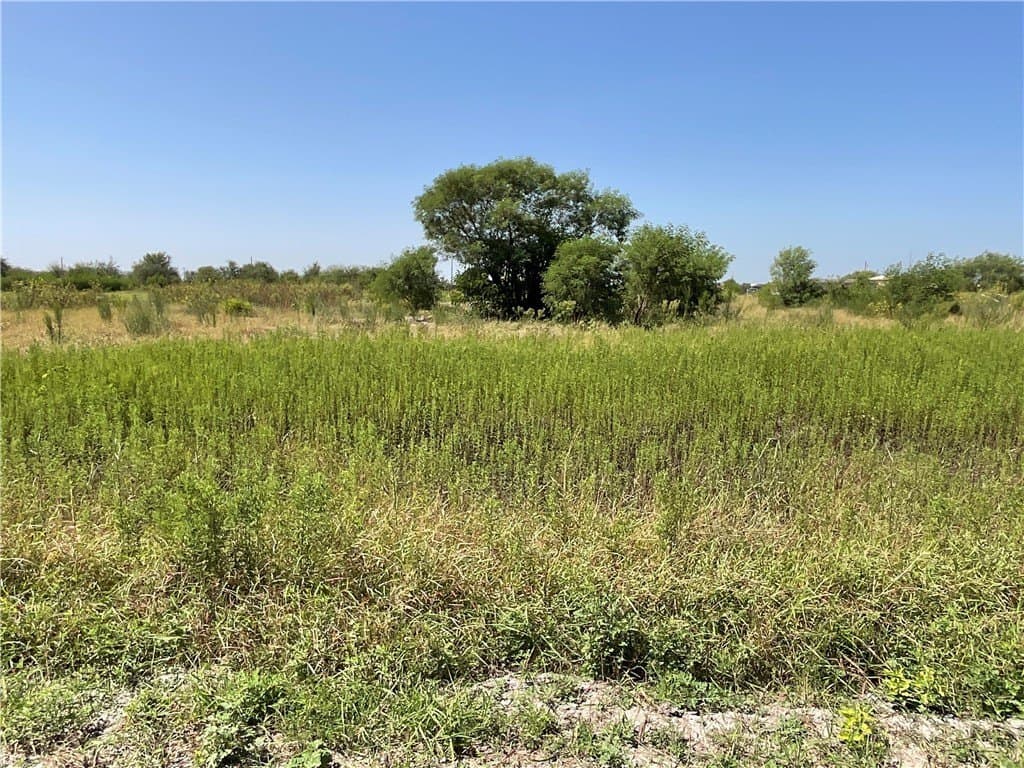 1.66 acres in Jim Wells County gallery image 3