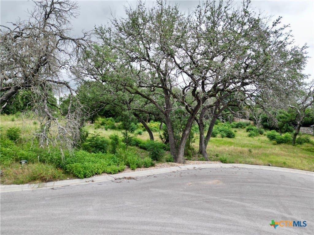 0.44 acres in Bell County gallery image 2