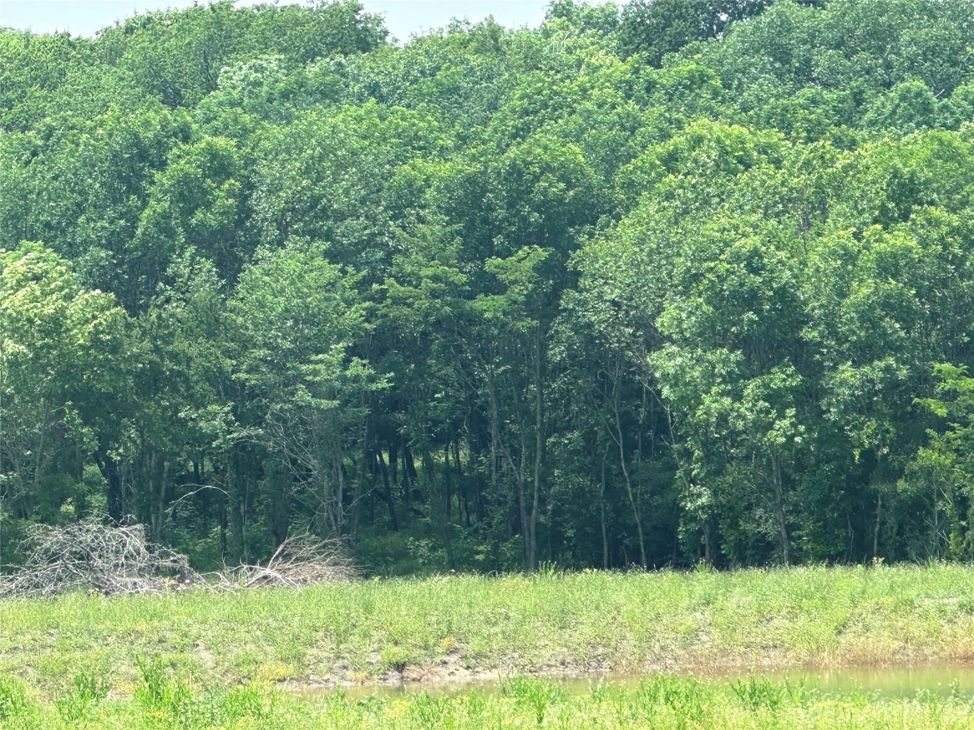 7.06 acres in Collin County - photo 2