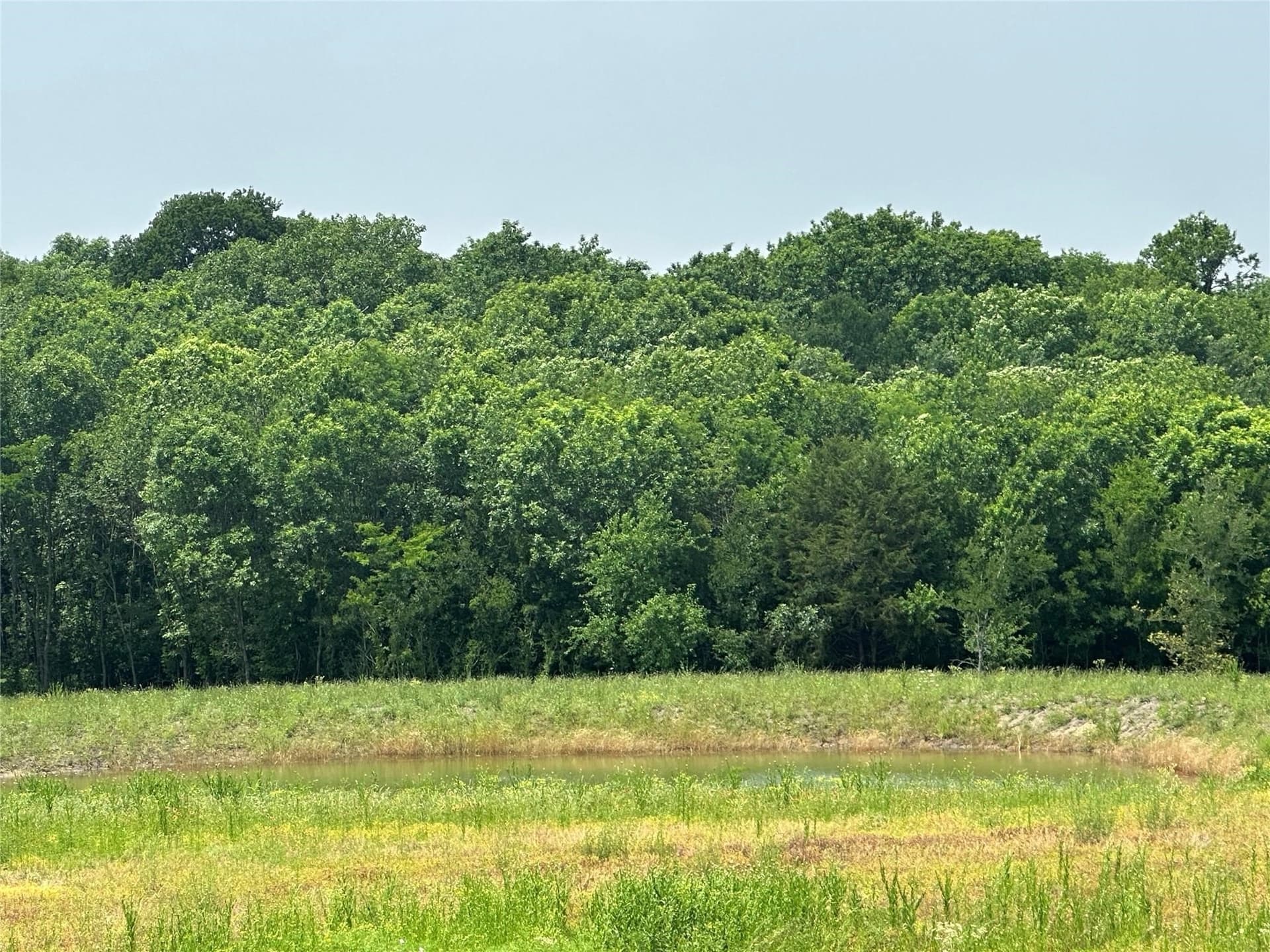 7.06 acres in Collin County - photo 4