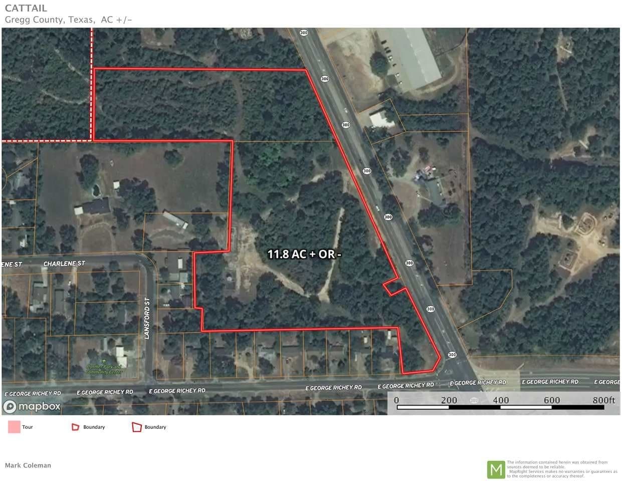 12 acres in Gregg County gallery image 3