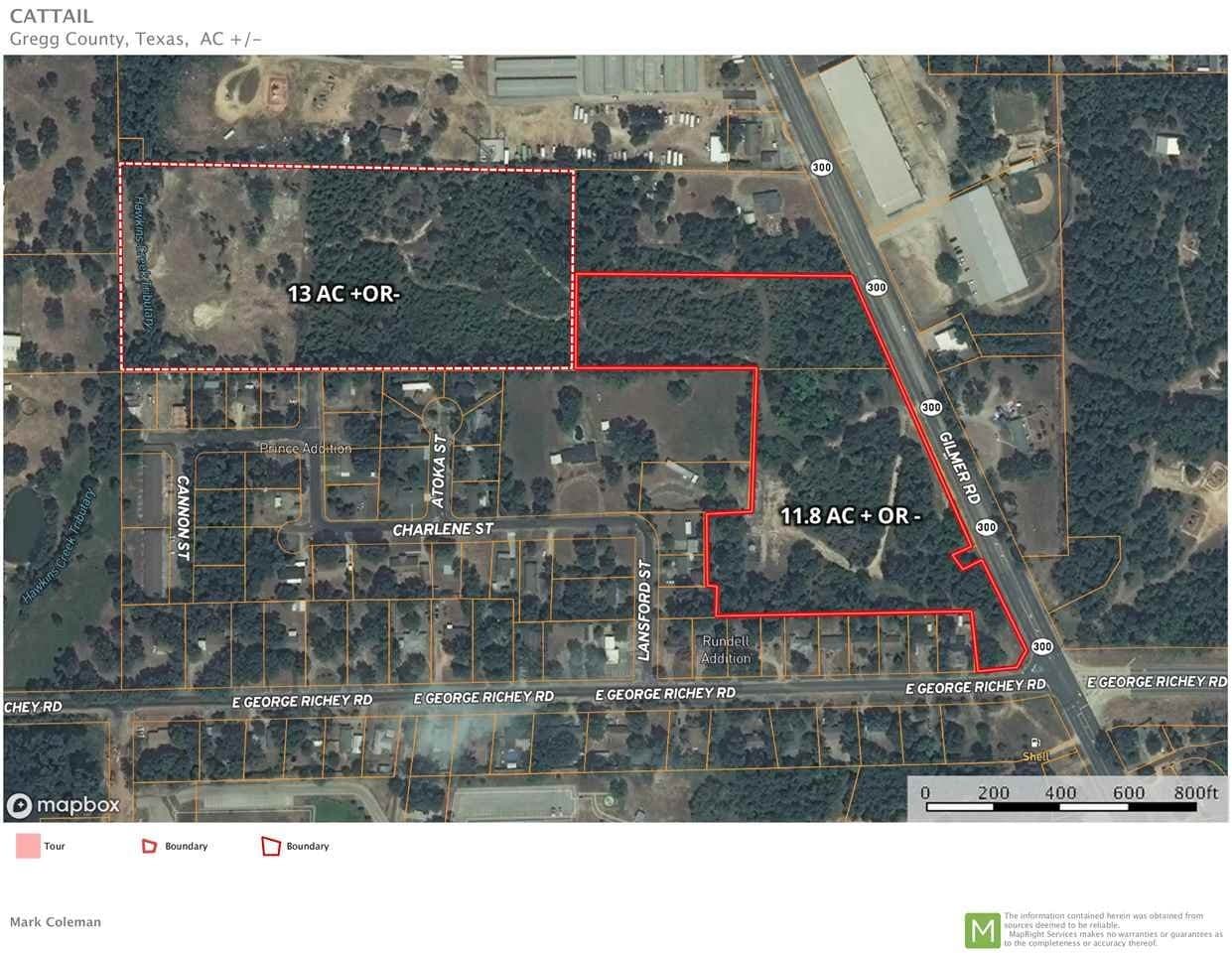 12 acres in Gregg County gallery image 2