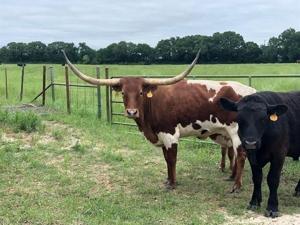 10.1 acres in Johnson County featured view