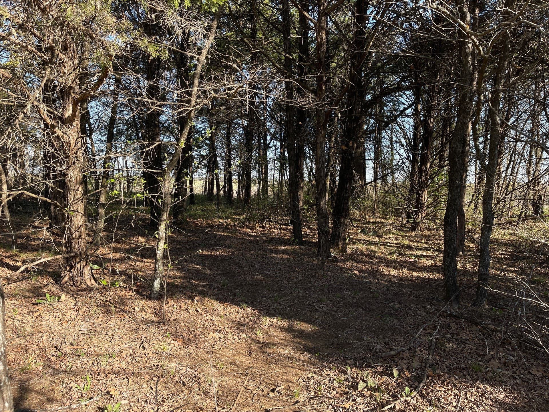 0.28 acres in Grayson County - photo 6