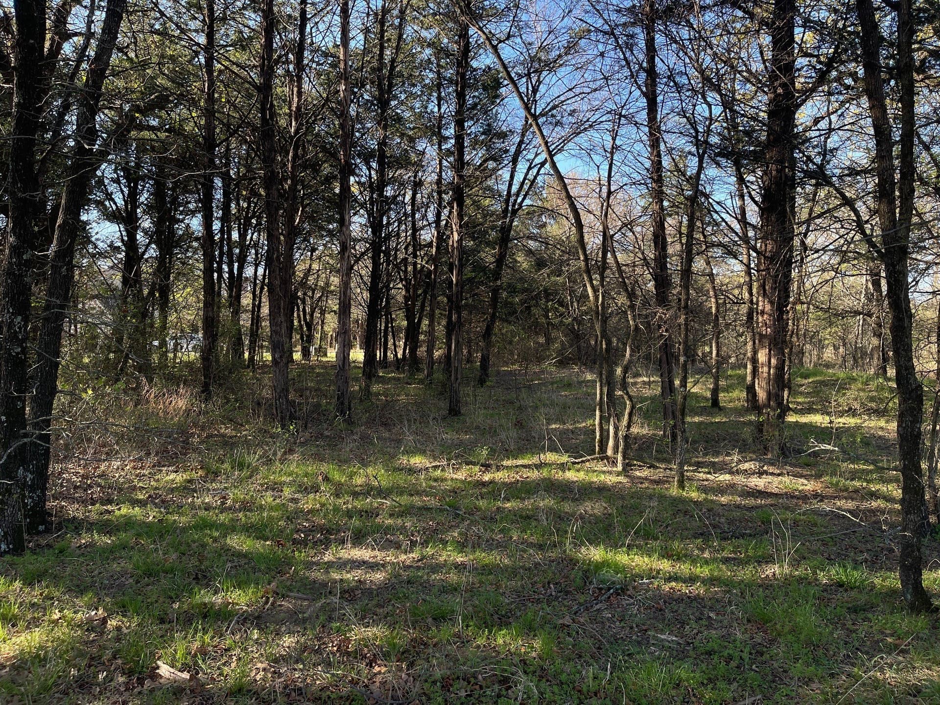 0.28 acres in Grayson County gallery image 4
