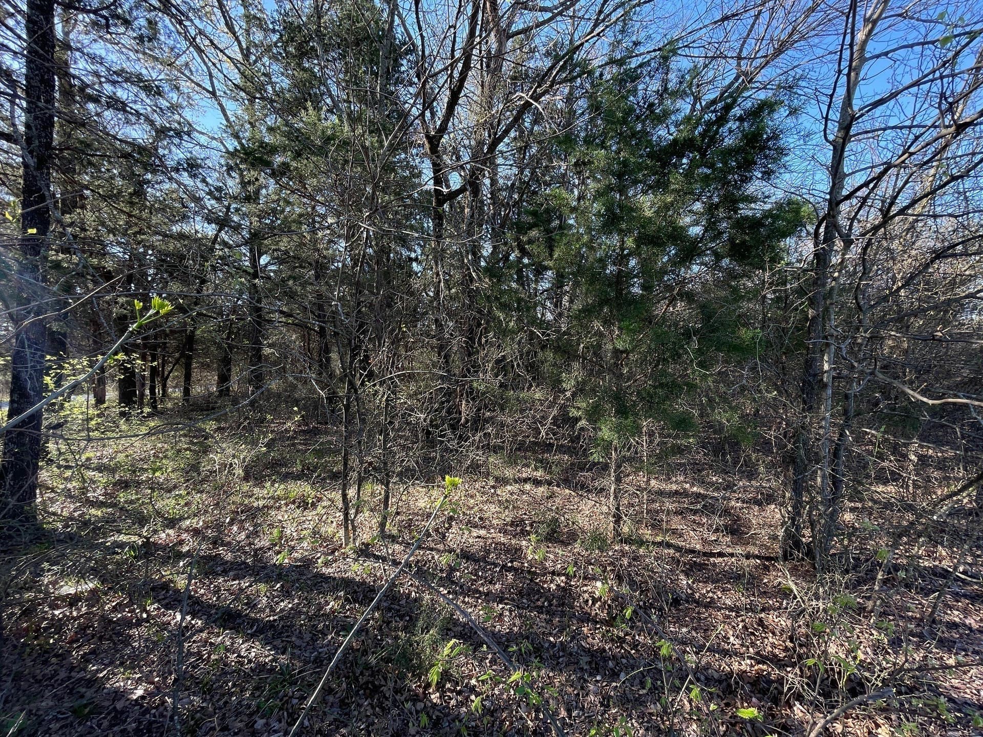 0.28 acres in Grayson County - photo 9