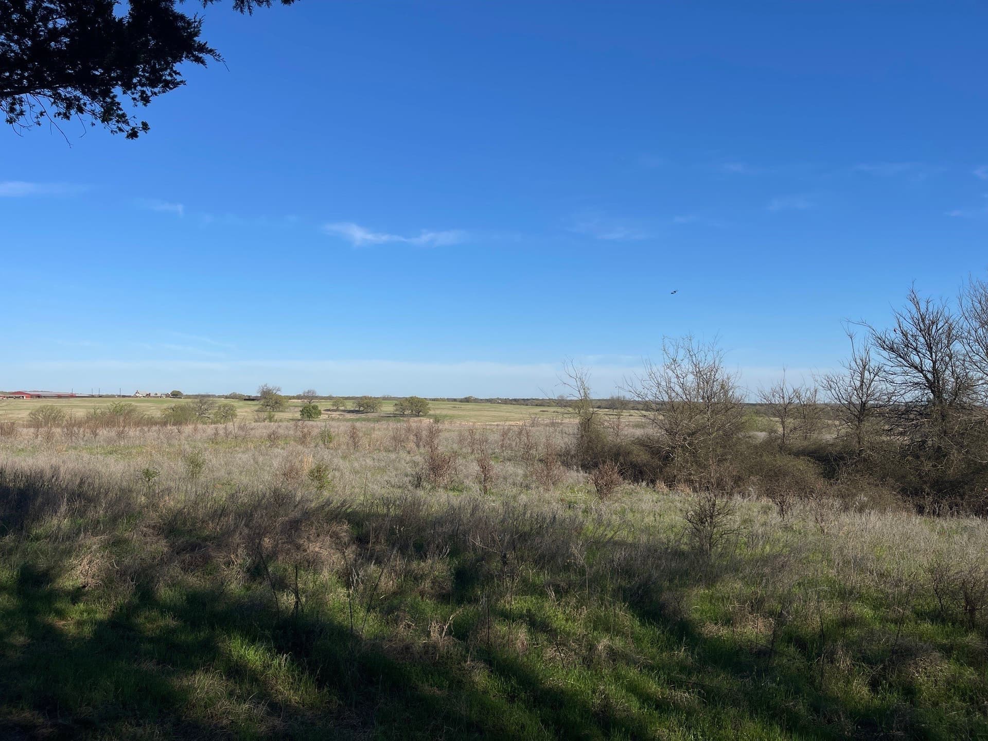 0.28 acres in Grayson County featured view