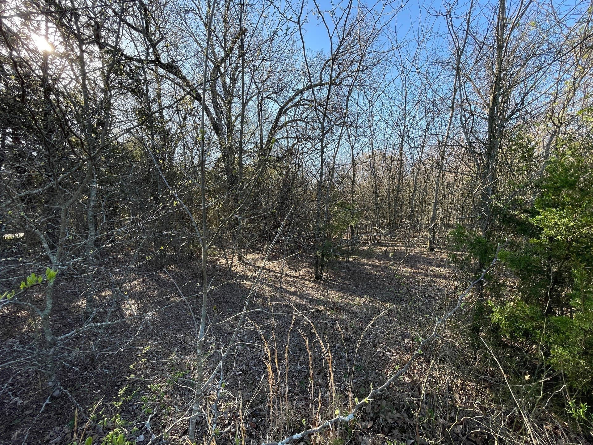 0.28 acres in Grayson County - photo 10
