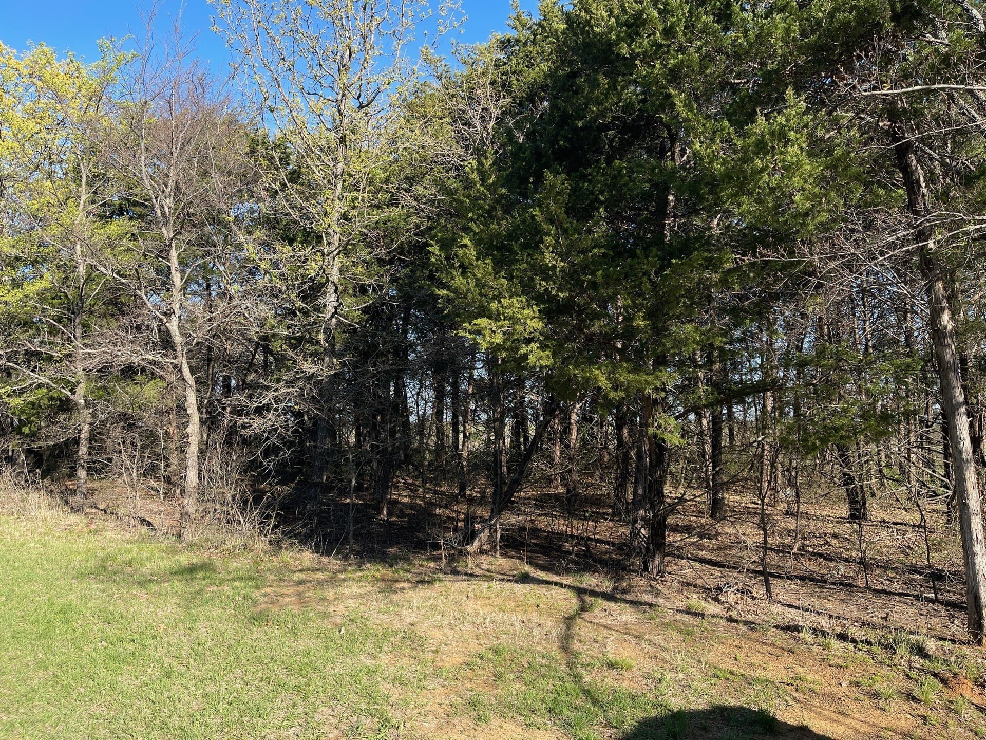 0.28 acres in Grayson County - photo 7