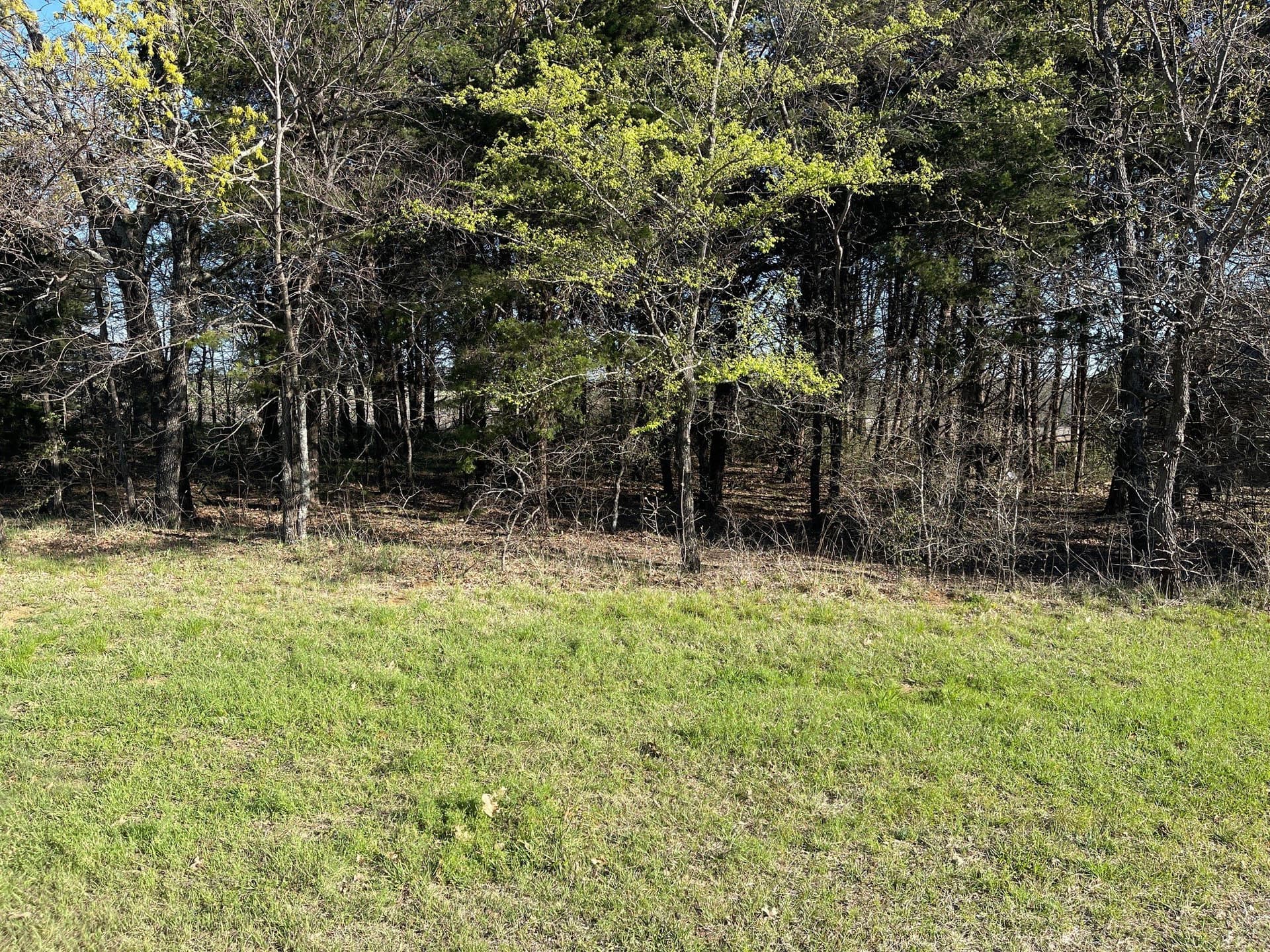 0.28 acres in Grayson County - photo 8