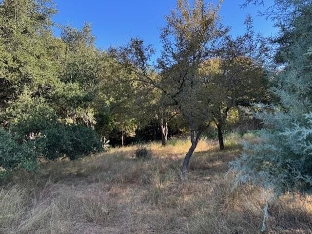 0.24 acres in Llano County - photo 5
