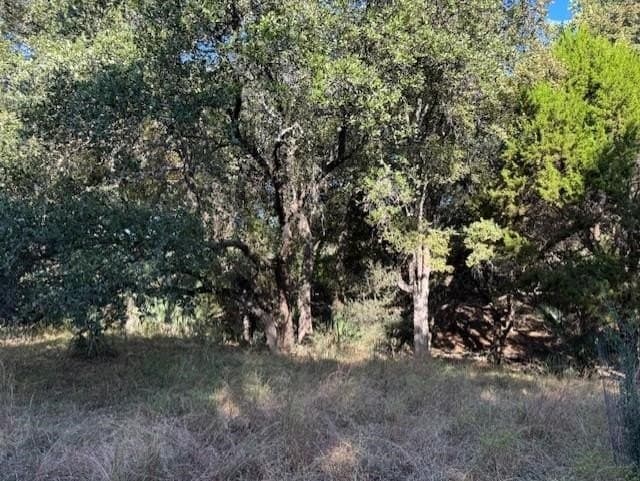 0.24 acres in Llano County - photo 3