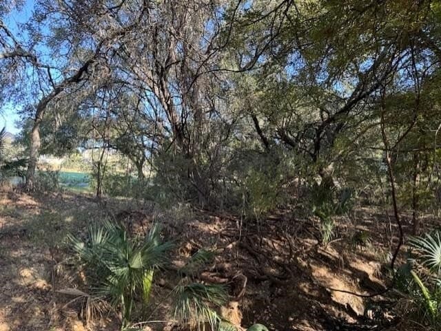 0.24 acres in Llano County - photo 2