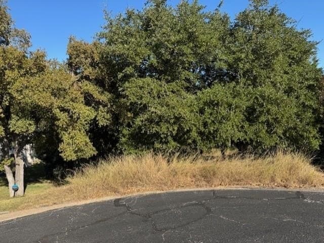0.24 acres in Llano County - photo 11