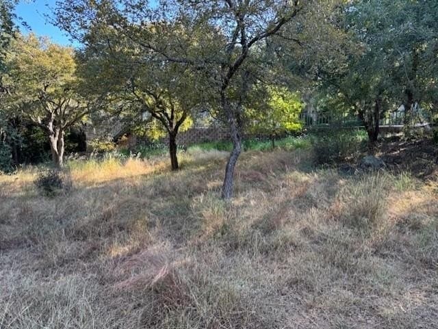 0.24 acres in Llano County - photo 8