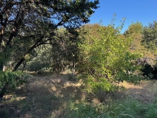 0.24 acres in Llano County - photo 6
