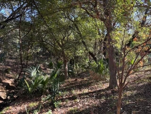 0.24 acres in Llano County - photo 7