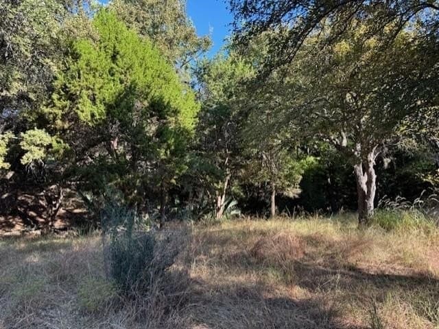 0.24 acres in Llano County - photo 4