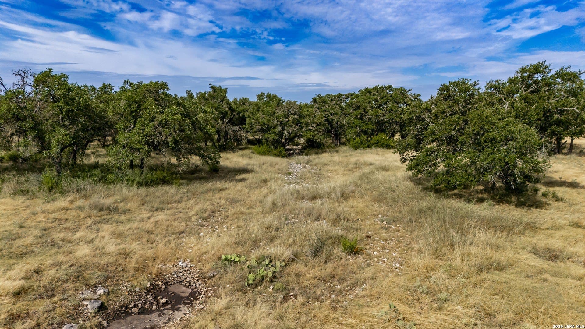 12 acres in Kerr County gallery image 4