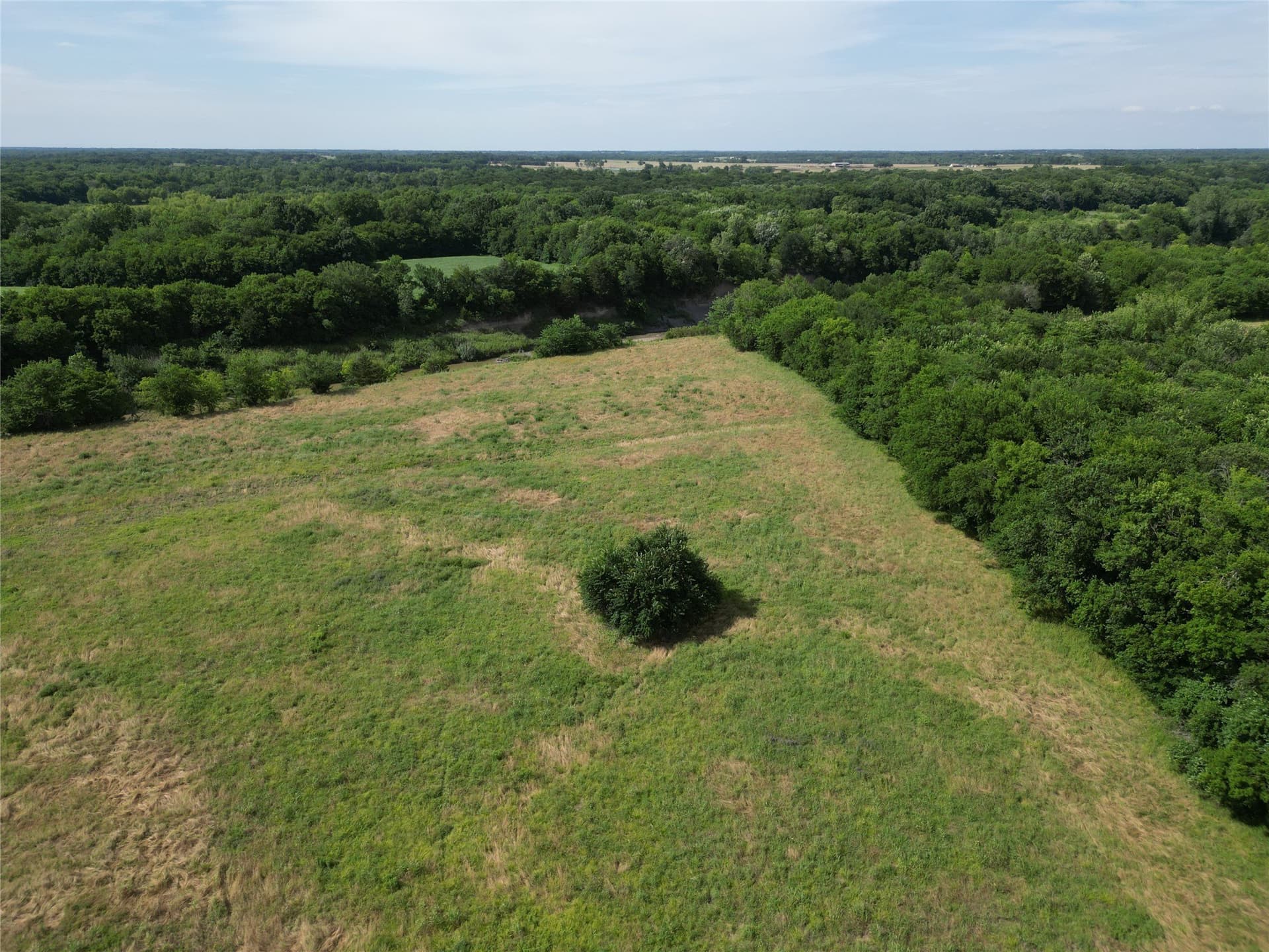 56.7 acres in Delta County gallery image 4