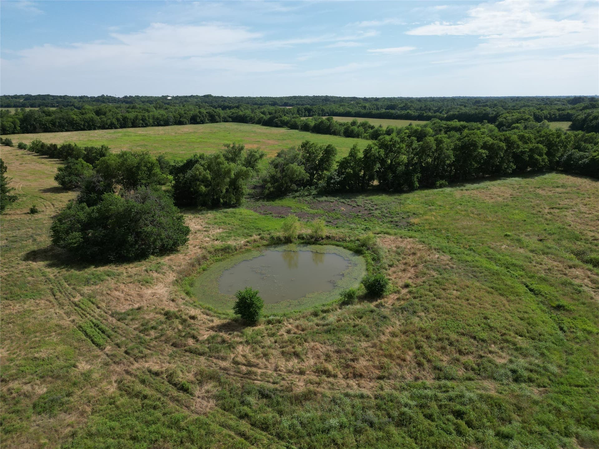 56.7 acres in Delta County - photo 10