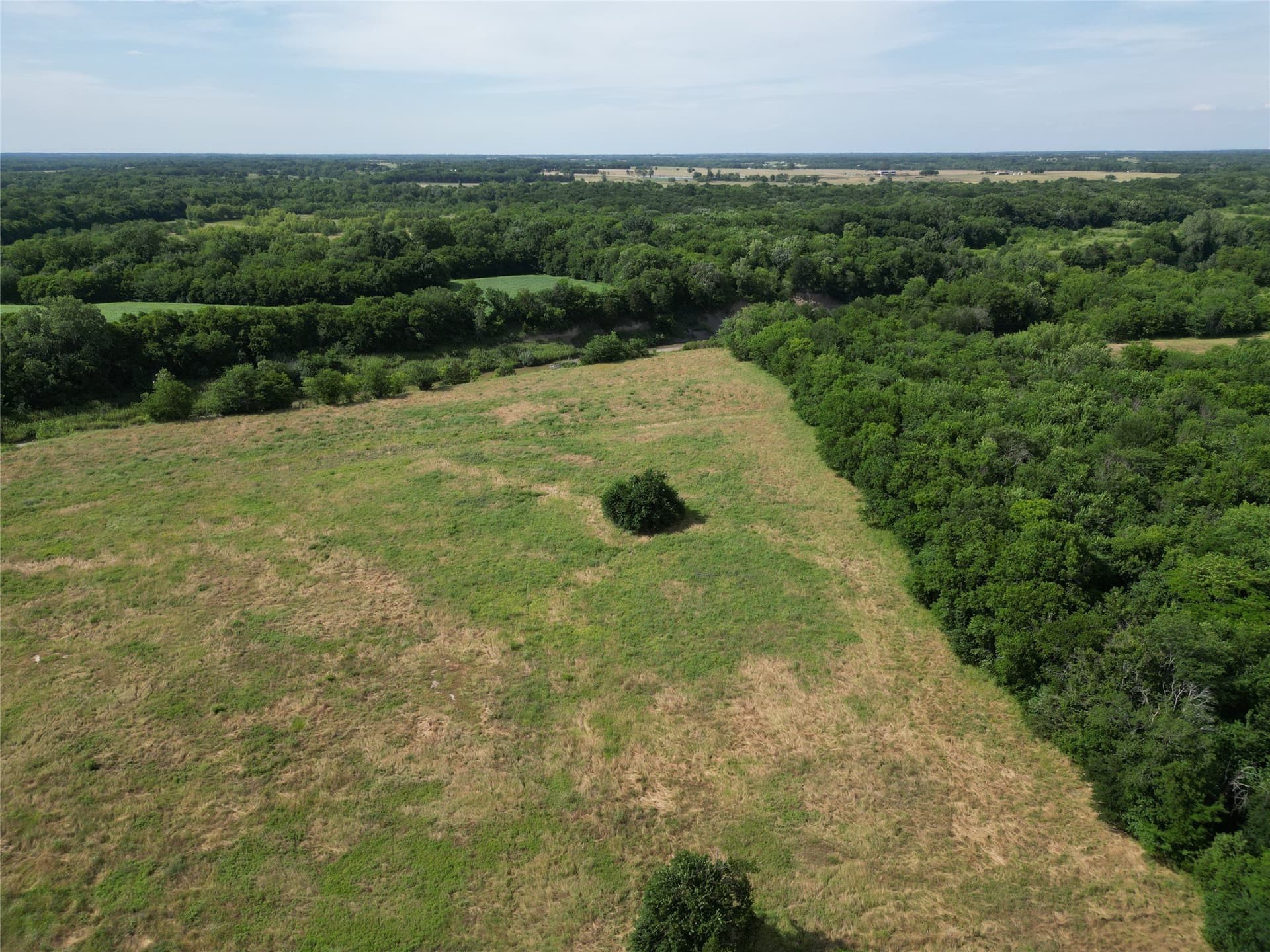 56.7 acres in Delta County gallery image 2