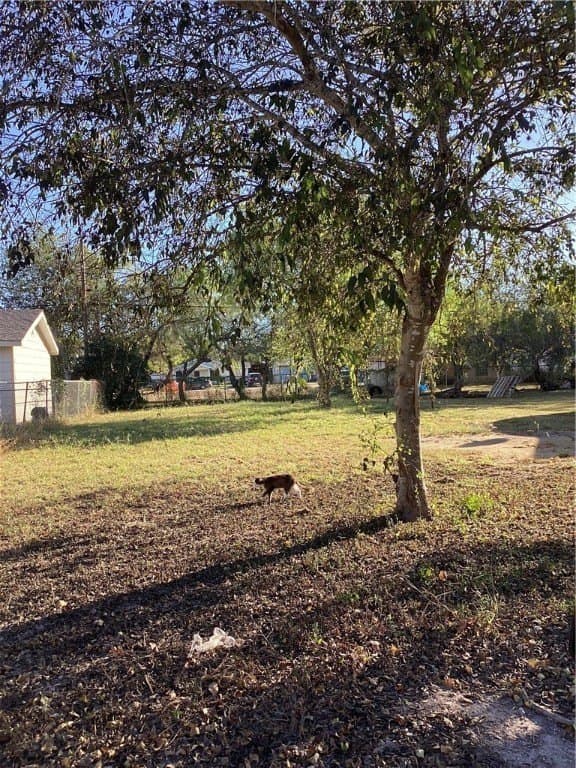 0.12 acres in Jim Wells County gallery image 2