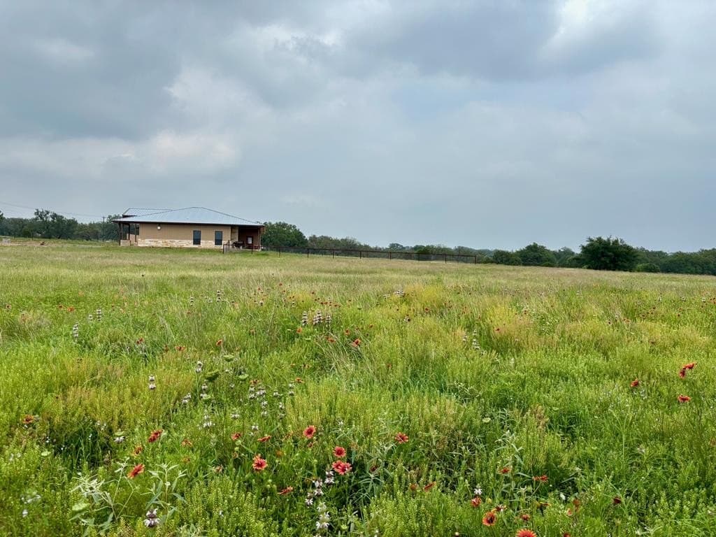 14.01 acres in Blanco County - photo 54