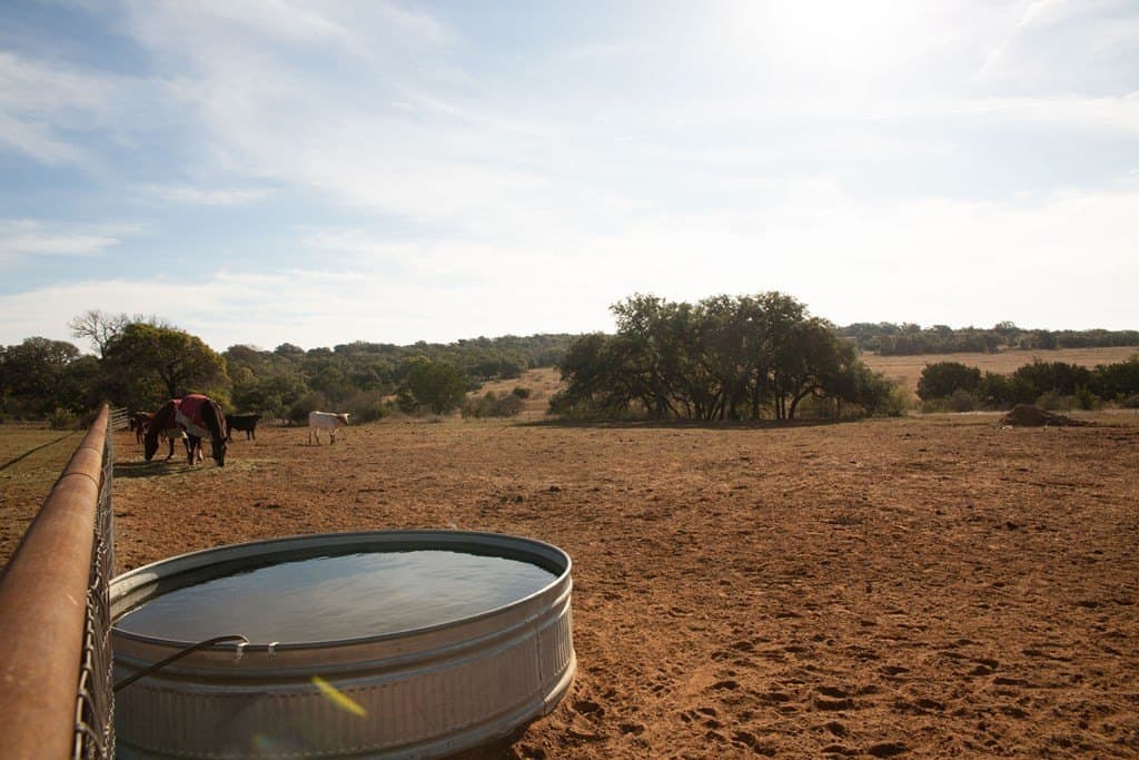 14.01 acres in Blanco County - photo 38