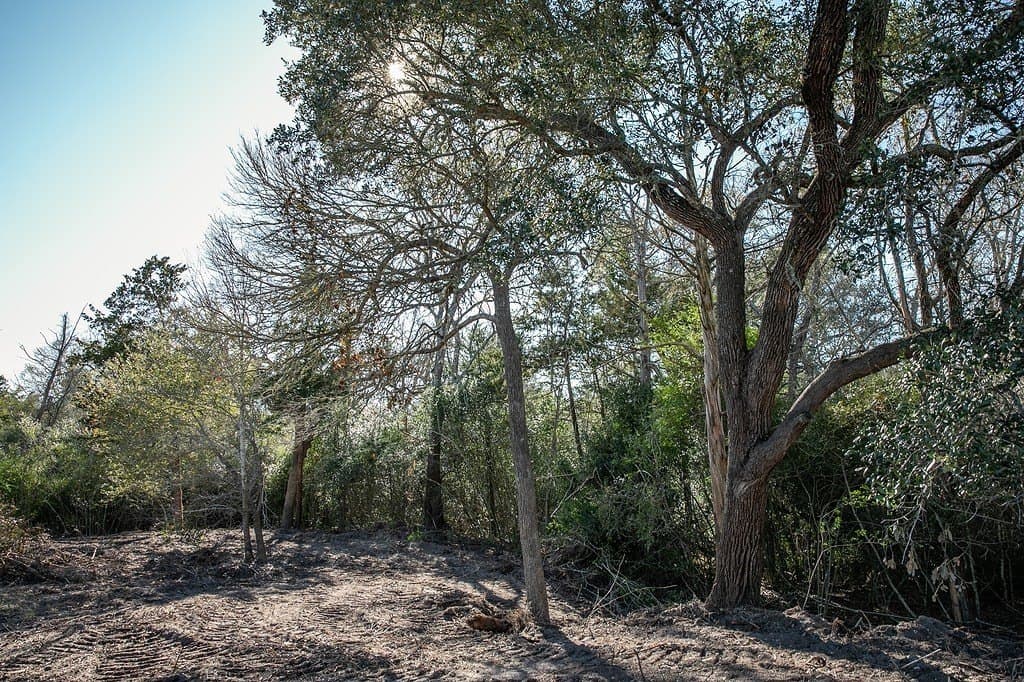4.5 acres in Washington County - photo 3