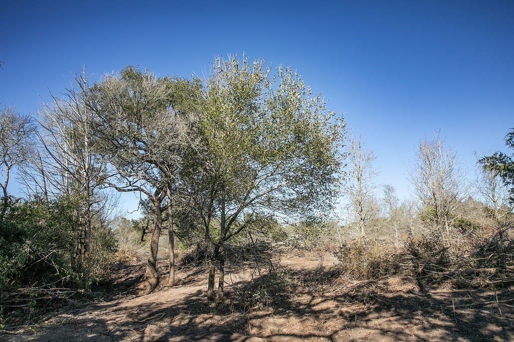 4.5 acres in Washington County - photo 10
