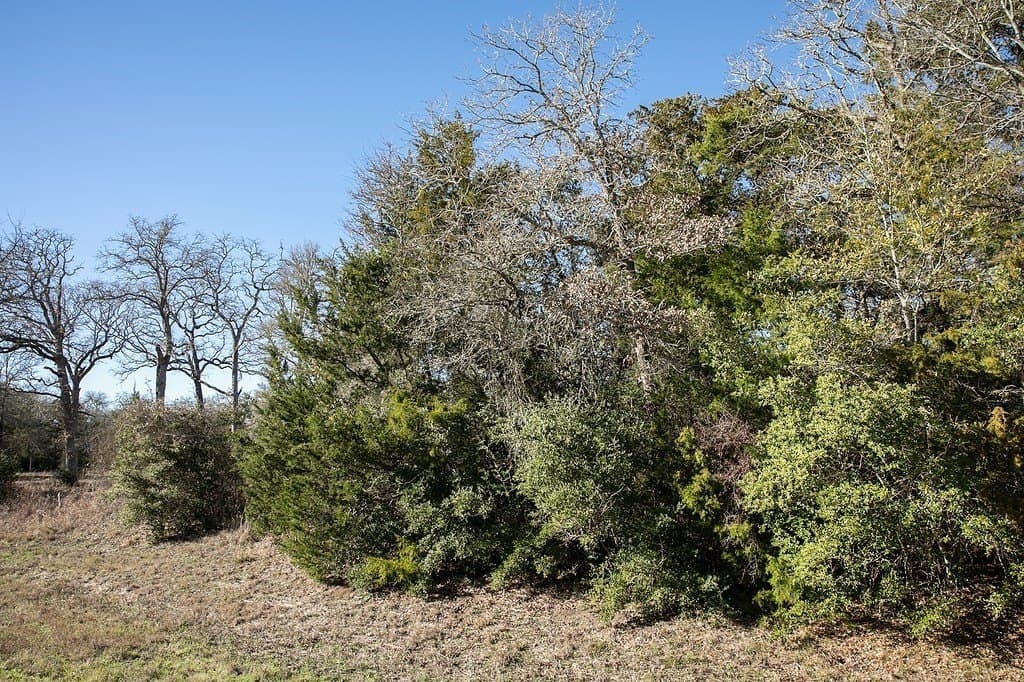 4.5 acres in Washington County - photo 6