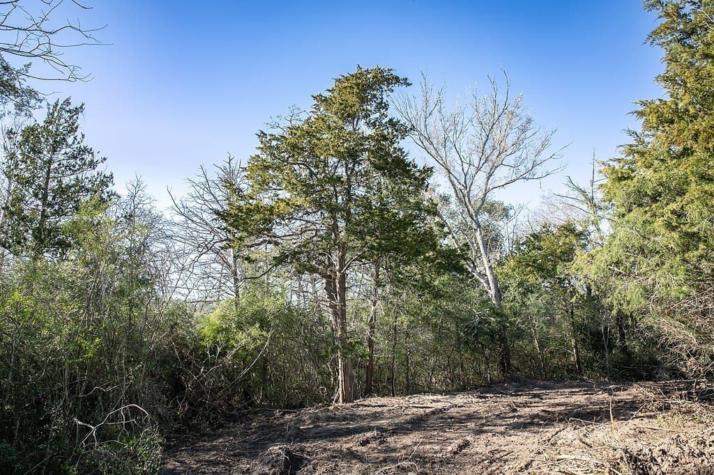4.5 acres in Washington County - photo 12