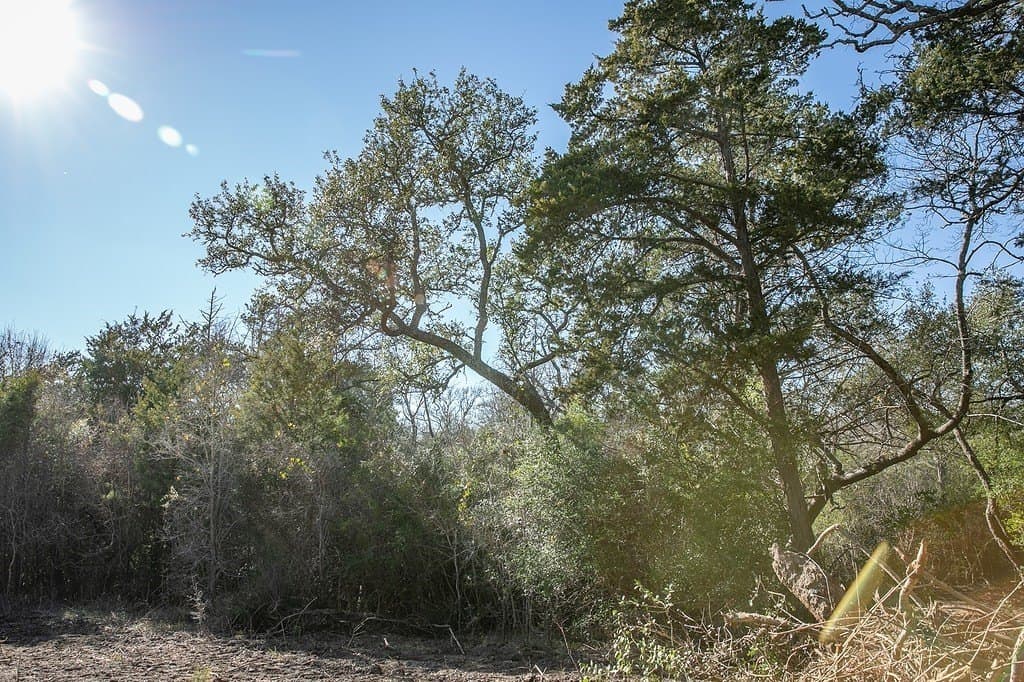 4.5 acres in Washington County - photo 8