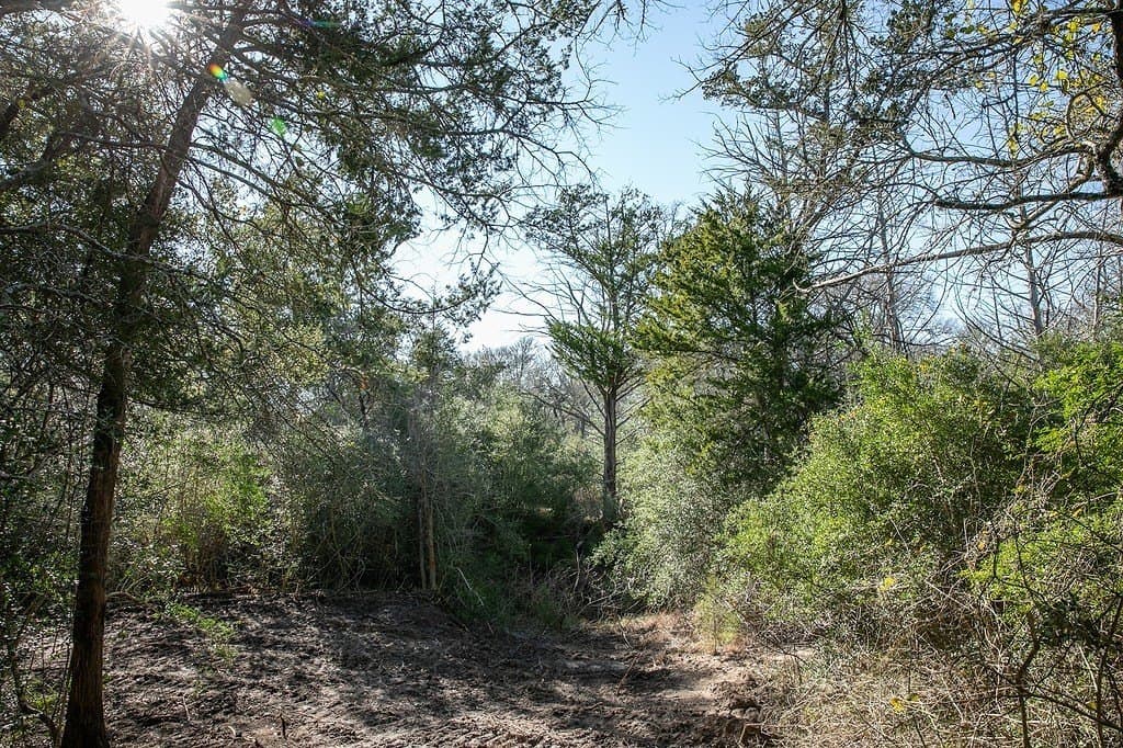 4.5 acres in Washington County - photo 2