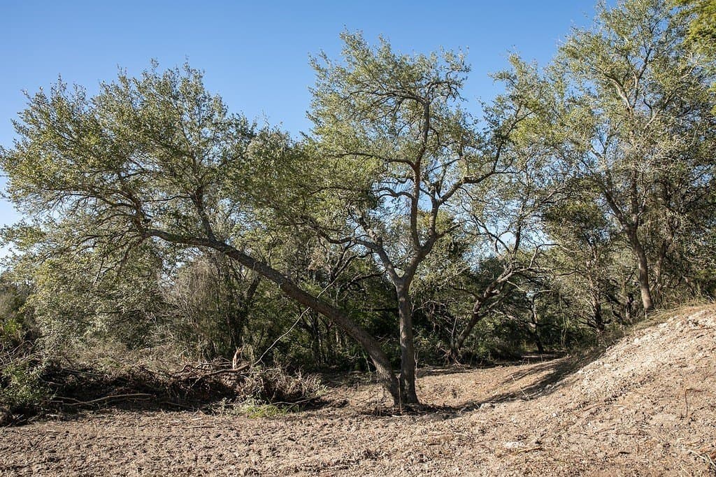 4.5 acres in Washington County - photo 7