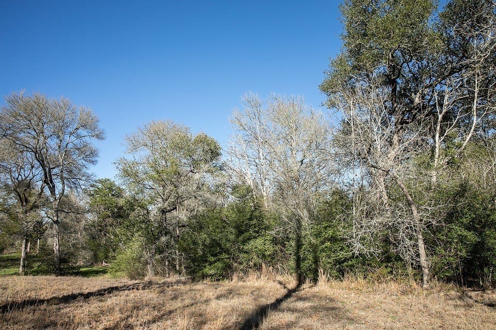 4.5 acres in Washington County - photo 4