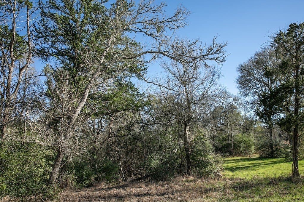 4.5 acres in Washington County - photo 11