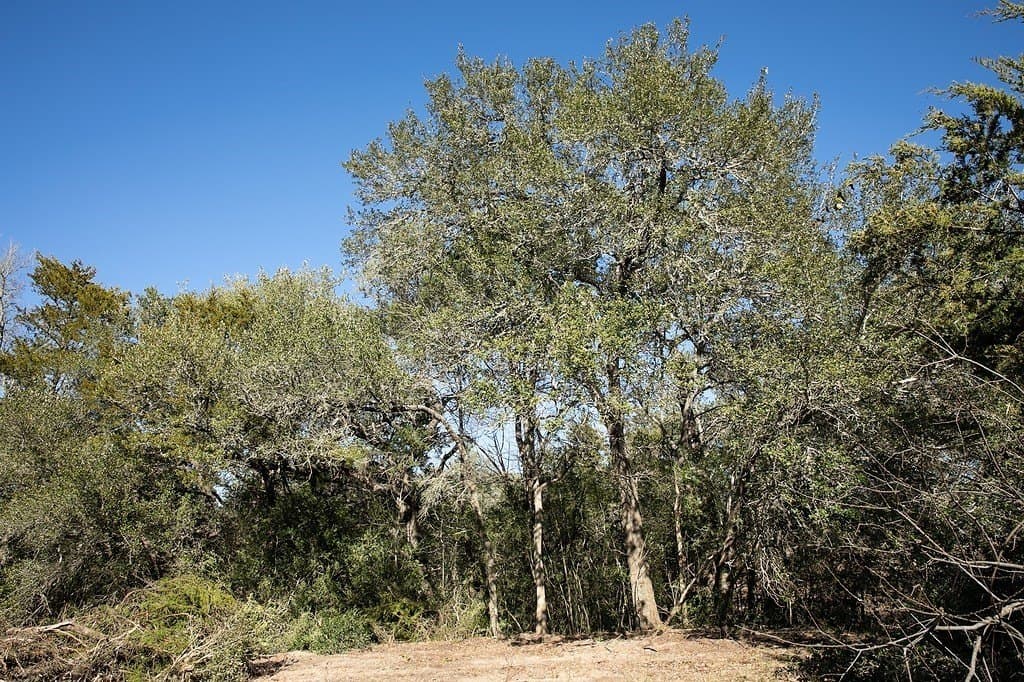 4.5 acres in Washington County