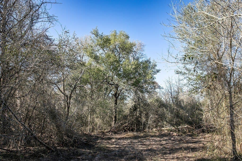 4.5 acres in Washington County - photo 9