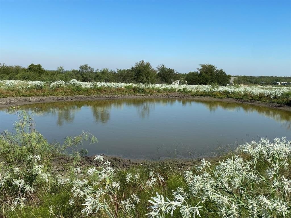 70.91 acres in Kaufman County gallery image 2