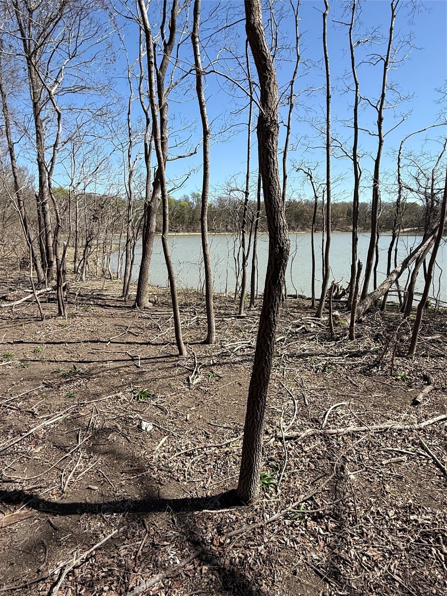 10 acres in Hill County gallery image 3