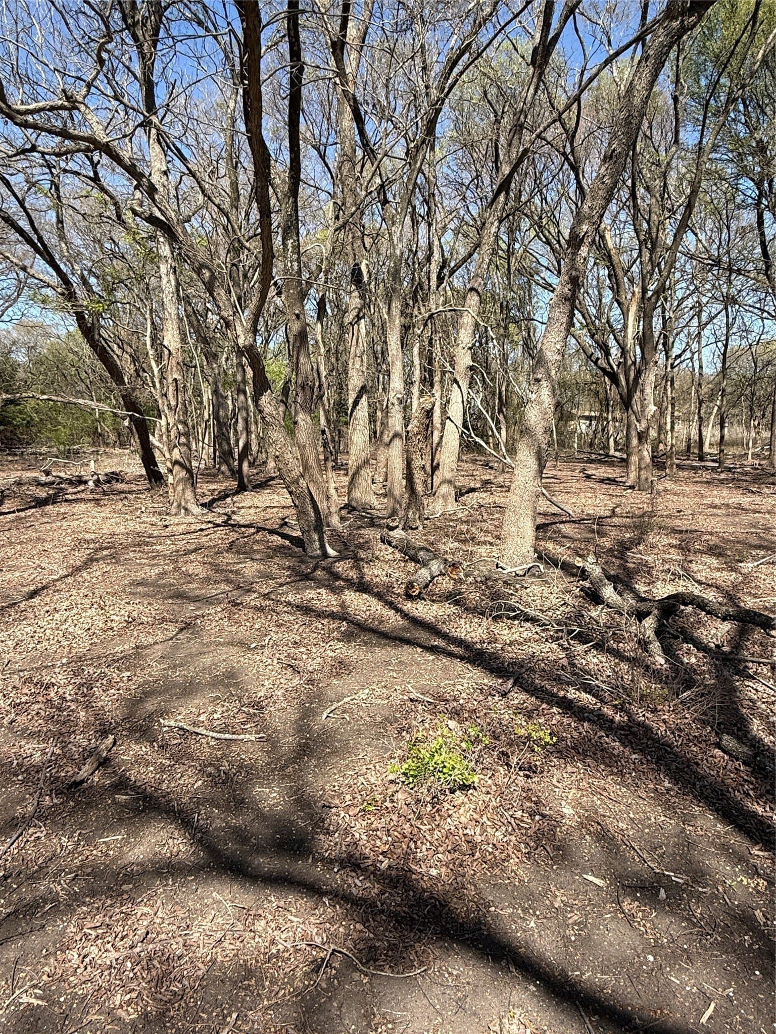 10 acres in Hill County featured view