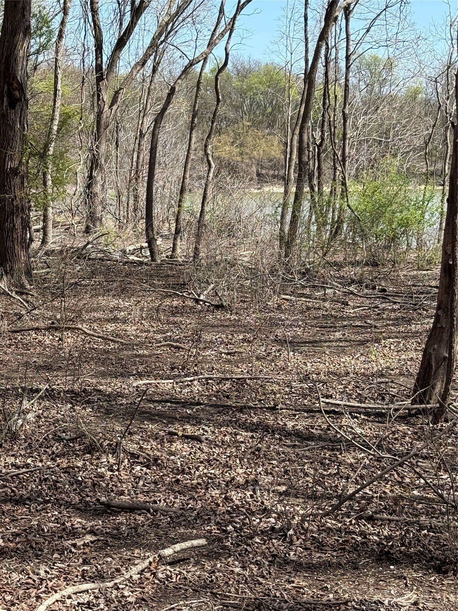 10 acres in Hill County gallery image 4