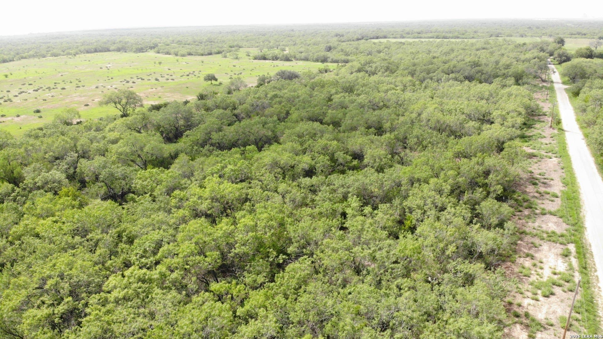 1.93 acres in Atascosa County gallery image 2